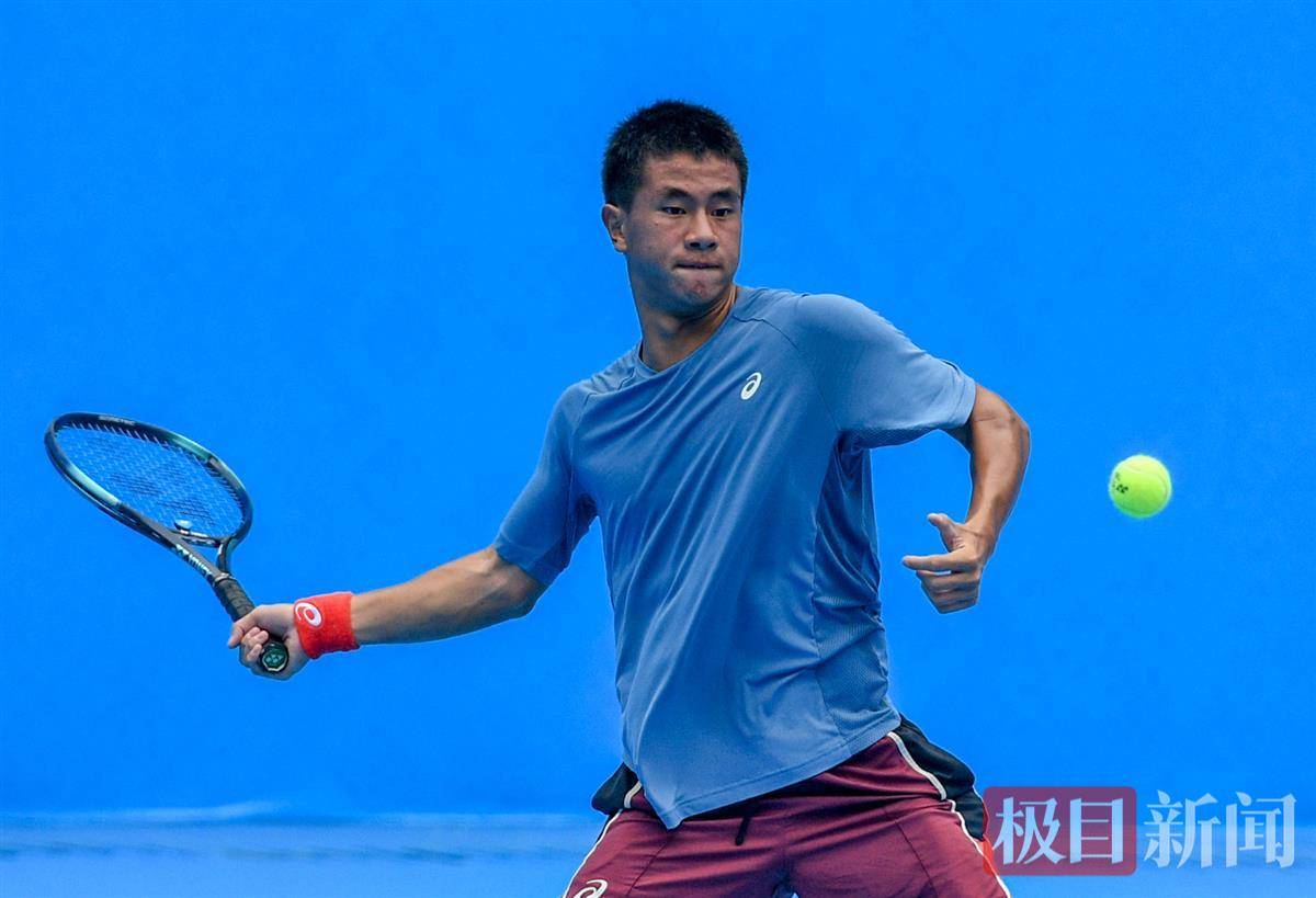 是新手极易 是新手极易